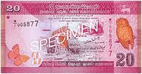 20 Sri Lankan rupee (Obverse)